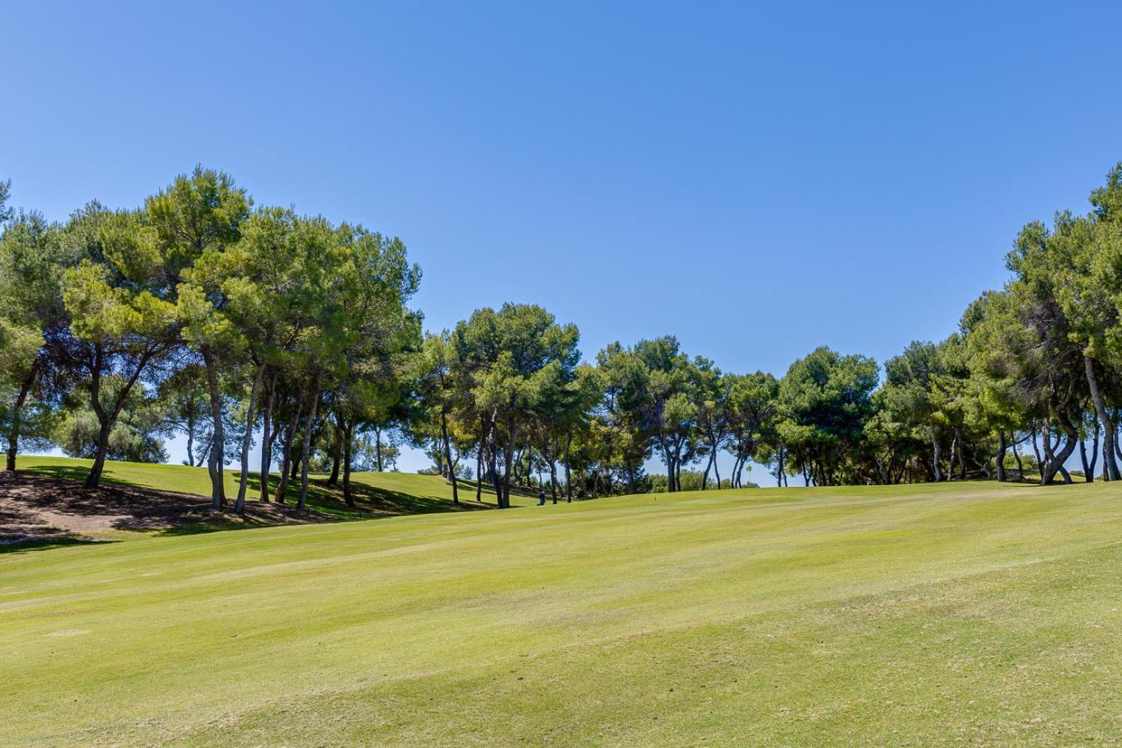 Super Cosy House Next To The Golf Βίλα Οριουέλα Εξωτερικό φωτογραφία